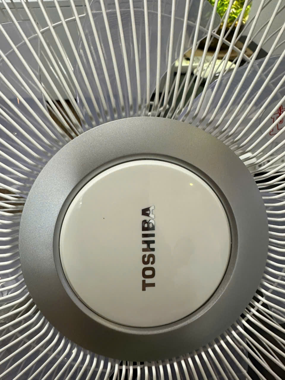 Quạt treo tường Toshiba TF-30RK29
